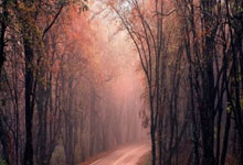 优德88:2023年我国研发经费投入超3.3万亿元 同比增长8.4%.