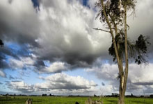 优德88:裏弗斯贊揚波蒂斯的卓越表現 全隊的35次助攻令人驚嘆.