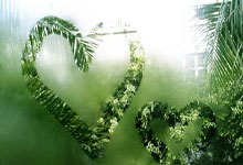 23／24歐冠32強正式出爐 曼城拜仁分為一檔！.