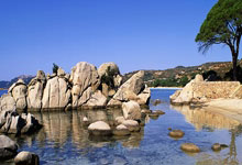 w88win优德:英超第8輪阿森納2-2水晶宮 奧巴梅揚破門拉卡澤特絕平.